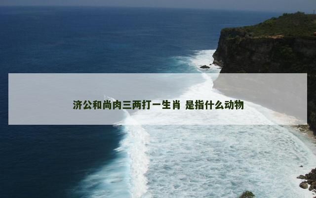济公和尚肉三两打一生肖 是指什么动物