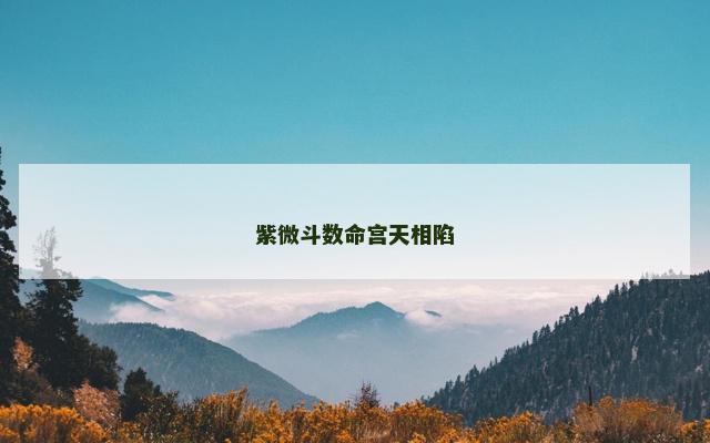紫微斗数命宫天相陷