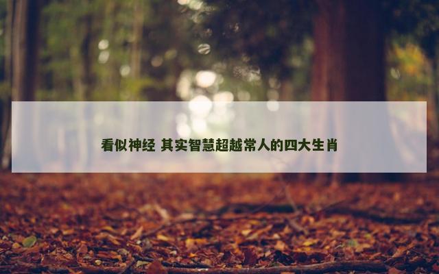 看似神经 其实智慧超越常人的四大生肖