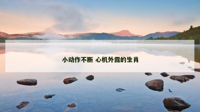 小动作不断 心机外露的生肖