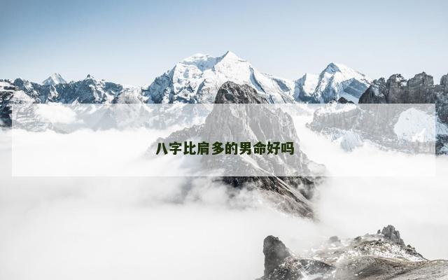 八字比肩多的男命好吗