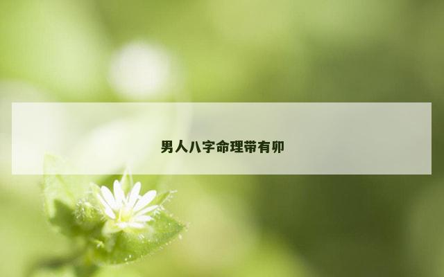 男人八字命理带有卯