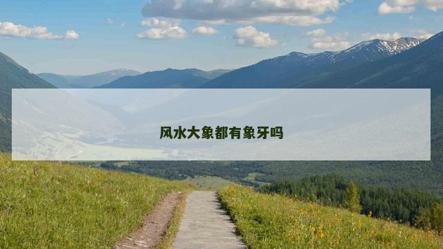 风水大象都有象牙吗