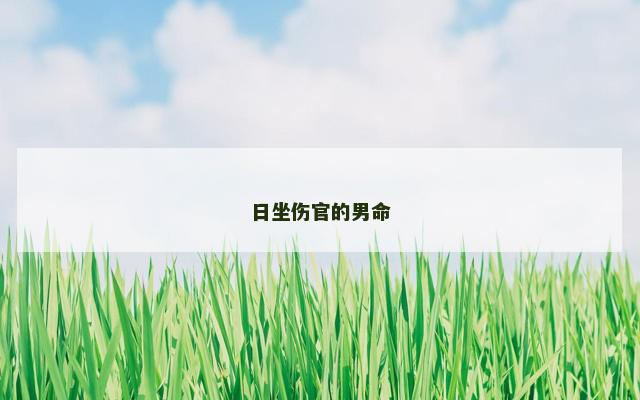日坐伤官的男命