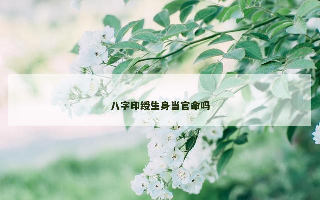 八字印绶生身当官命吗
