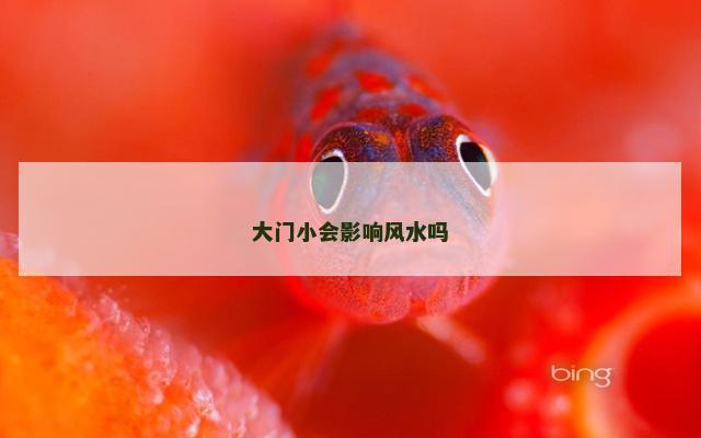 大门小会影响风水吗