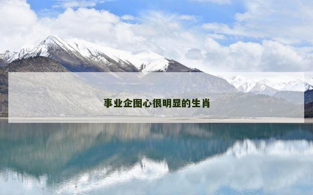 事业企图心很明显的生肖