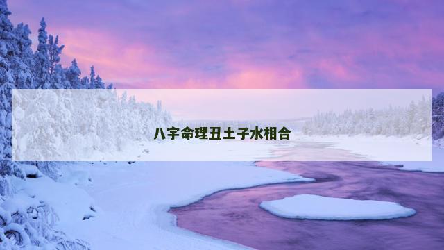八字命理丑土子水相合
