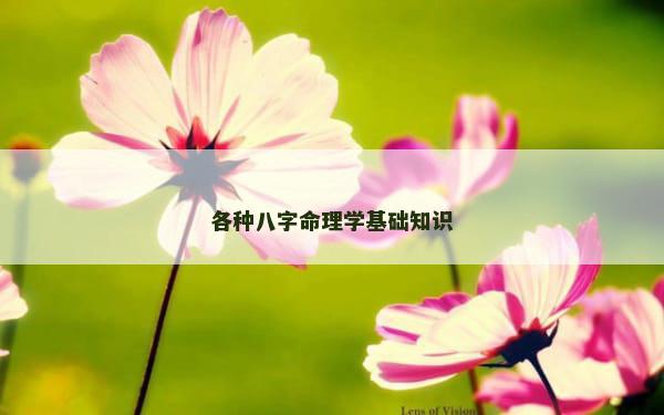 各种八字命理学基础知识