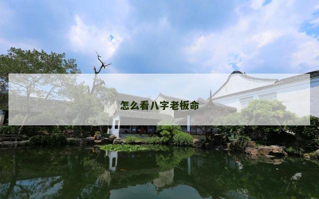 怎么看八字老板命