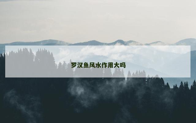 罗汉鱼风水作用大吗
