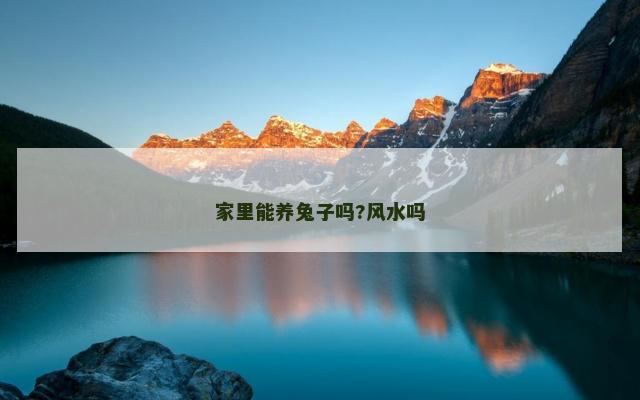 家里能养兔子吗?风水吗