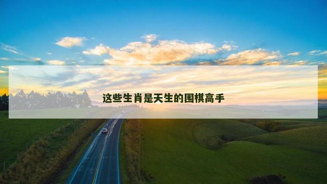 这些生肖是天生的围棋高手