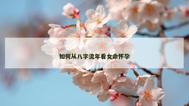 如何从八字流年看女命怀孕