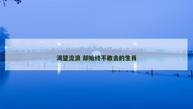渴望流浪 却始终不敢去的生肖