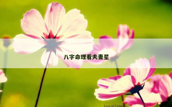 八字命理看夫妻星