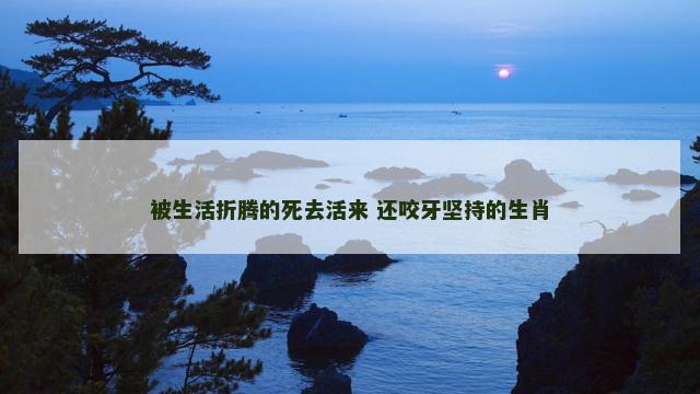 被生活折腾的死去活来 还咬牙坚持的生肖