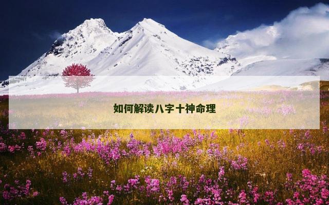 如何解读八字十神命理