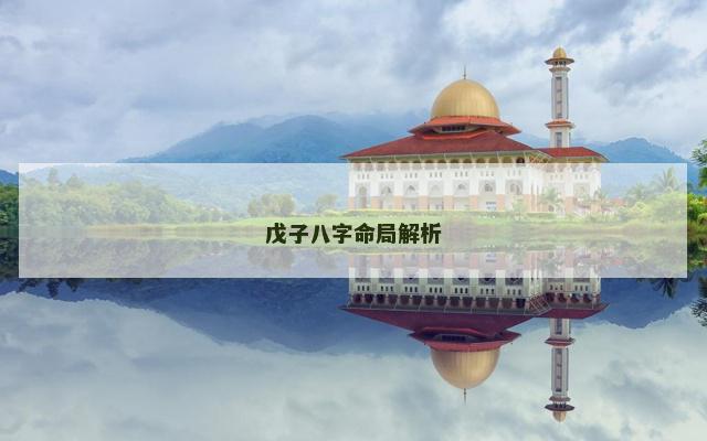 戊子八字命局解析