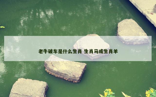 老牛破车是什么生肖 生肖马或生肖羊