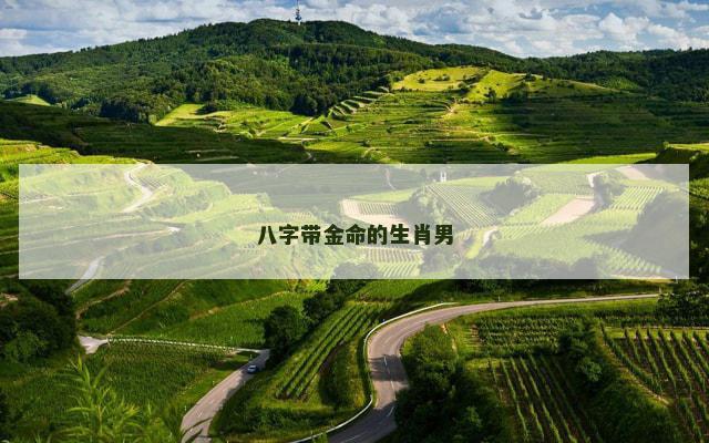 八字带金命的生肖男