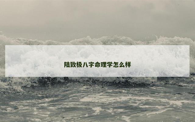 陆致极八字命理学怎么样