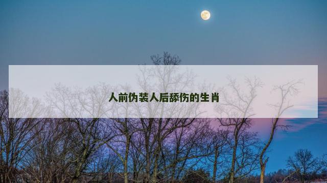人前伪装人后舔伤的生肖