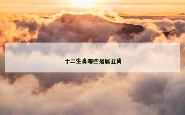 十二生肖哪些是属丑肖