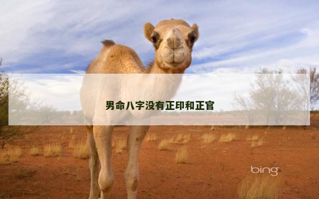 男命八字没有正印和正官