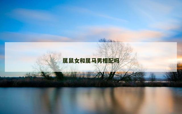属鼠女和属马男相配吗