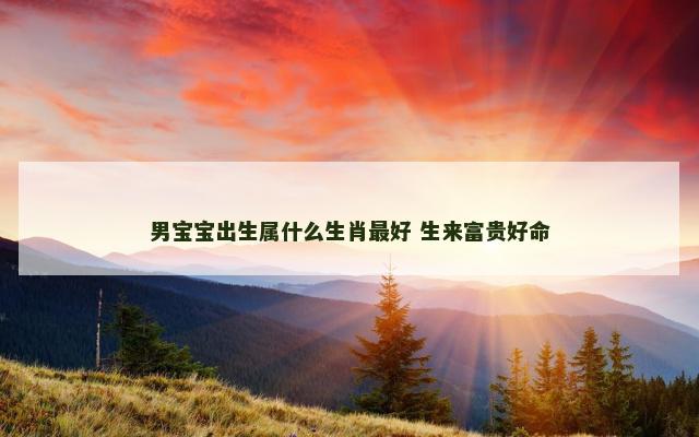 男宝宝出生属什么生肖最好 生来富贵好命