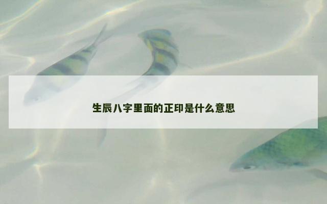 生辰八字里面的正印是什么意思