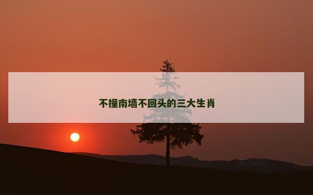 不撞南墙不回头的三大生肖