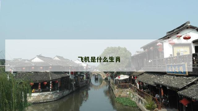 飞机是什么生肖