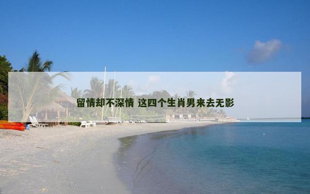 留情却不深情 这四个生肖男来去无影