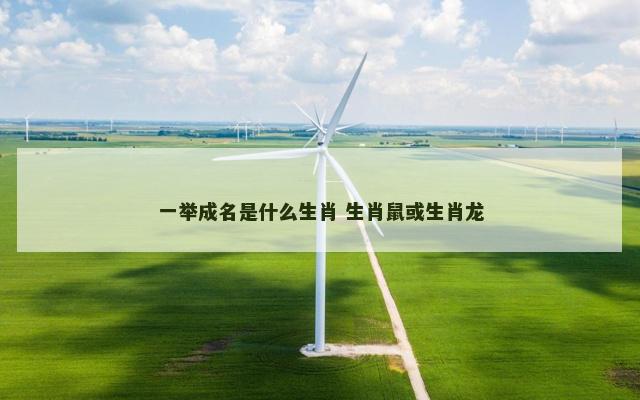 一举成名是什么生肖 生肖鼠或生肖龙