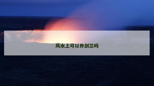 风水上可以养剑兰吗
