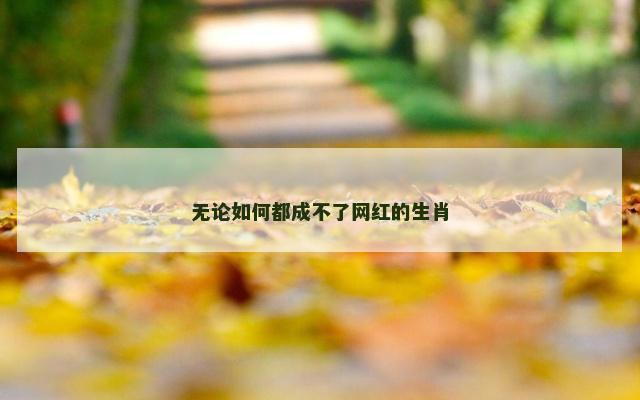 无论如何都成不了网红的生肖