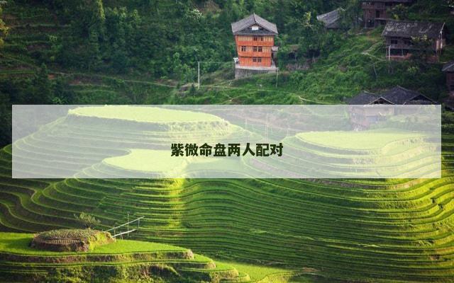 紫微命盘两人配对