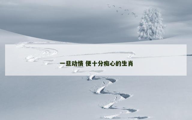 一旦动情 便十分痴心的生肖