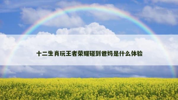 十二生肖玩王者荣耀碰到爸妈是什么体验