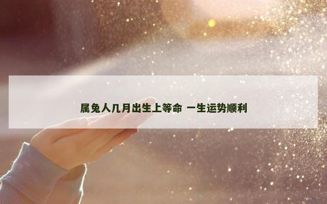 属兔人几月出生上等命 一生运势顺利