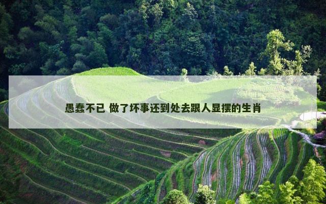 愚蠢不已 做了坏事还到处去跟人显摆的生肖