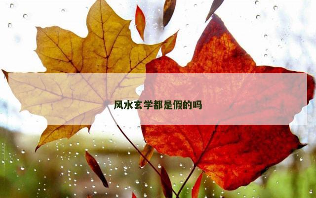 风水玄学都是假的吗