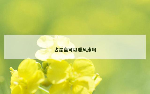 占星盘可以看风水吗