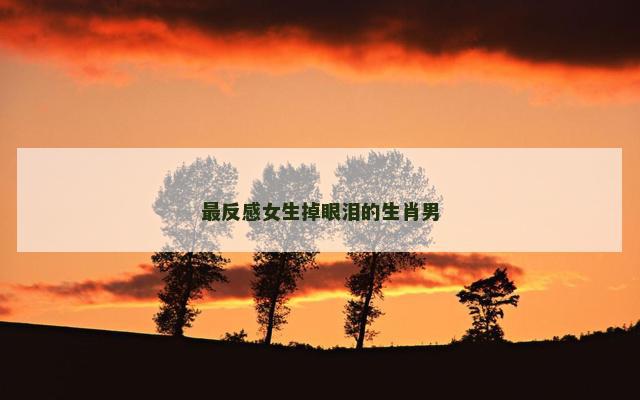 最反感女生掉眼泪的生肖男