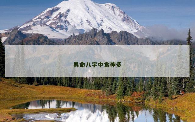 男命八字中食神多