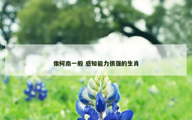 像柯南一般 感知能力很强的生肖