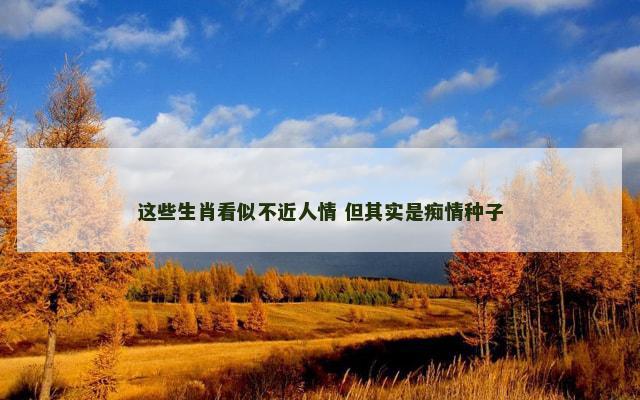 这些生肖看似不近人情 但其实是痴情种子