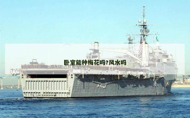 卧室能种梅花吗?风水吗